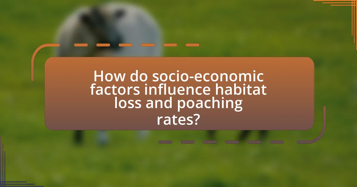 How do socio-economic factors influence habitat loss and poaching rates?