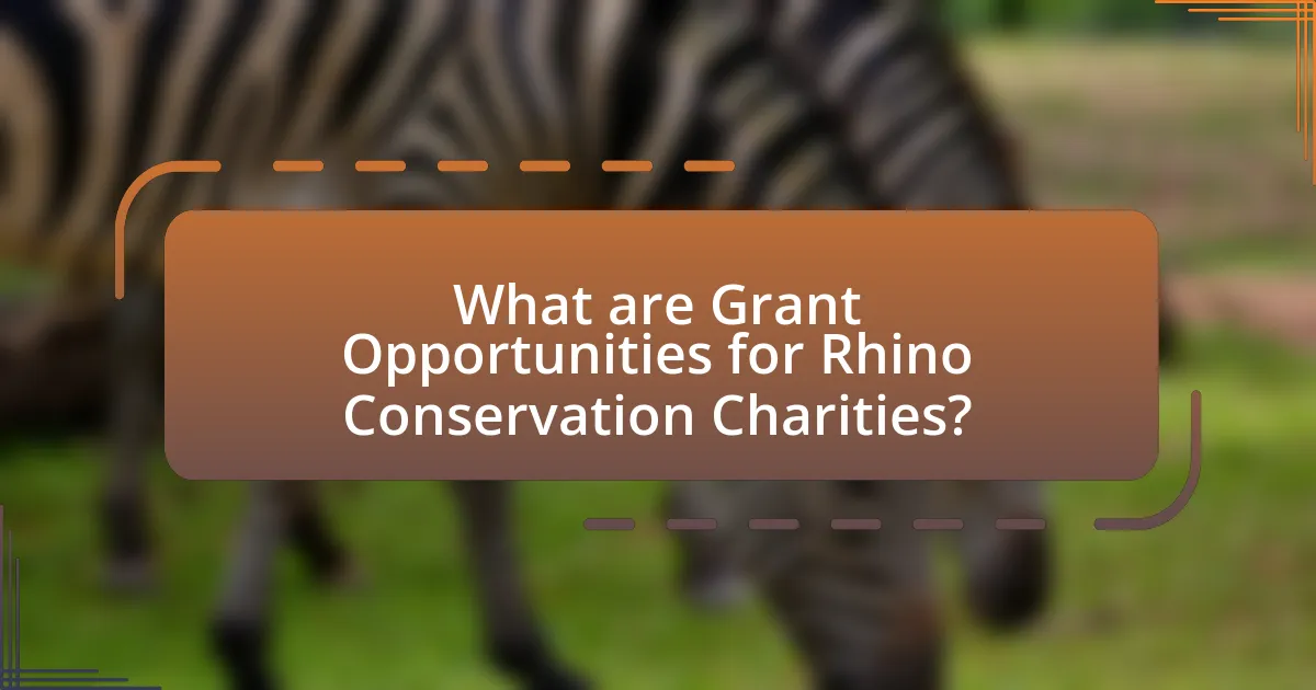 What are Grant Opportunities for Rhino Conservation Charities?