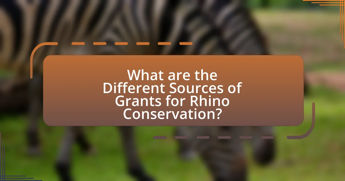 What are the Different Sources of Grants for Rhino Conservation?