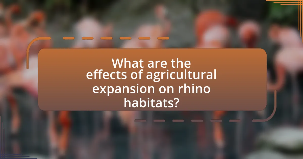 What are the effects of agricultural expansion on rhino habitats?