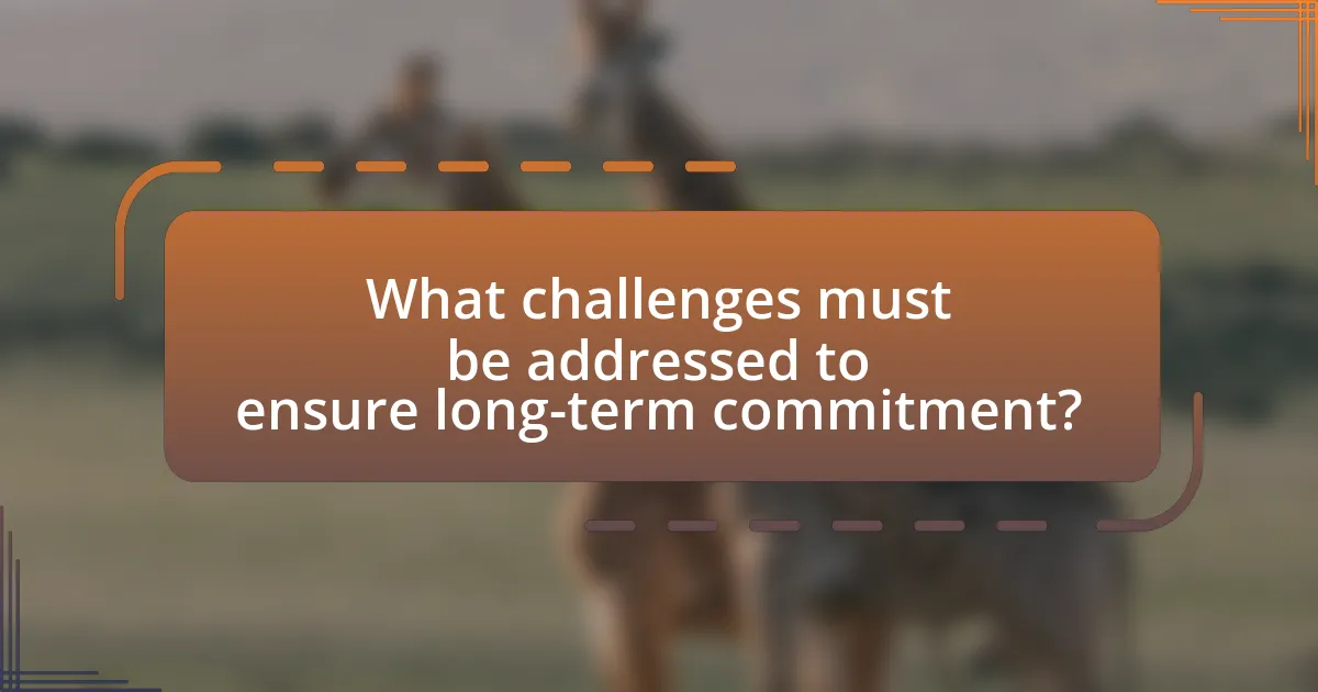 What challenges must be addressed to ensure long-term commitment?