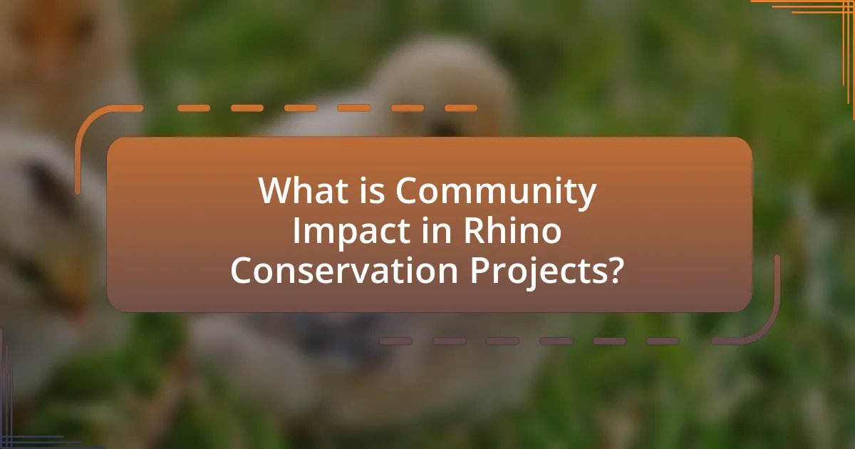 What is Community Impact in Rhino Conservation Projects?