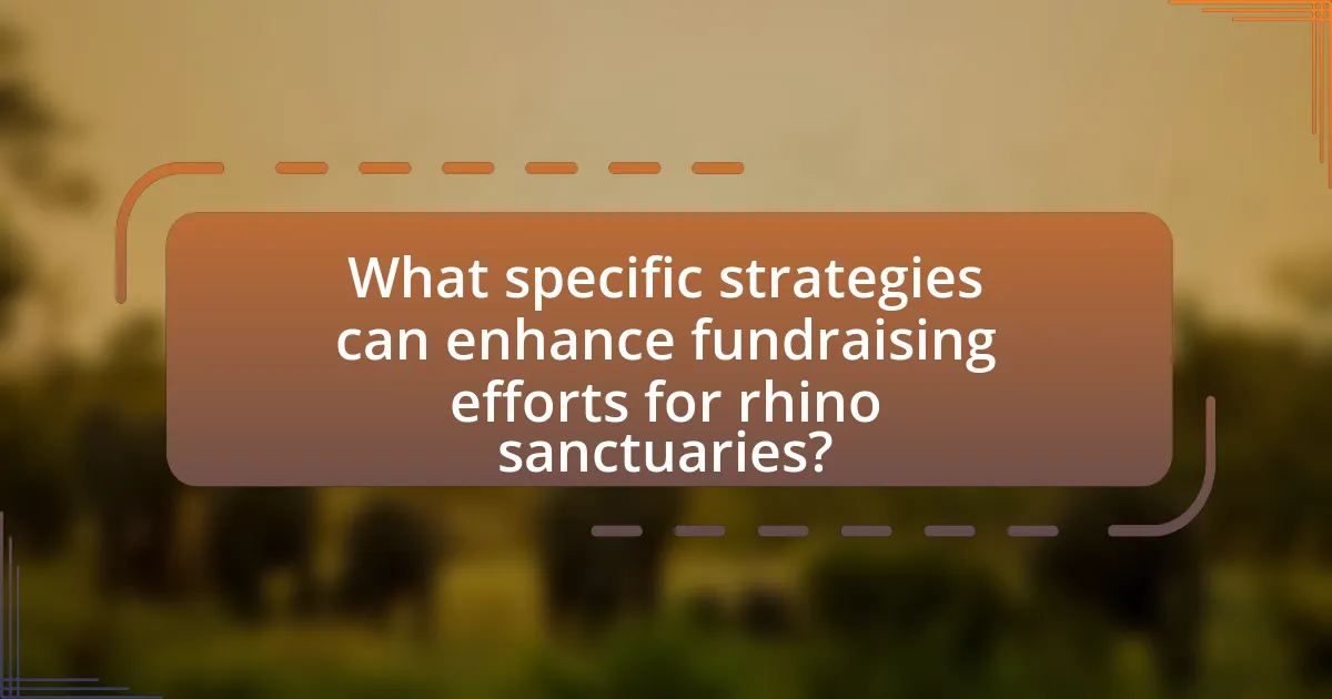 What specific strategies can enhance fundraising efforts for rhino sanctuaries?